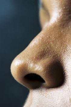 Nose showing one nostril
