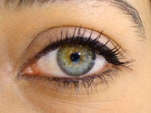 An eye