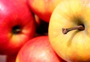 fruit