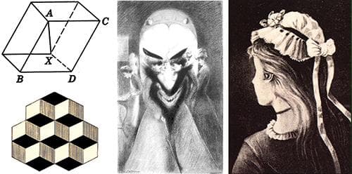 Wade figure 4