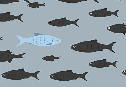 One fish swimming in a different direction to others